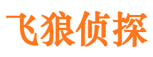 通化飞狼私家侦探公司